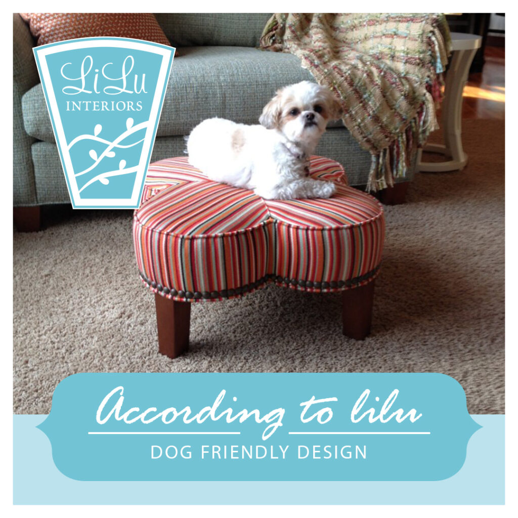 dog-friendly-interior-design