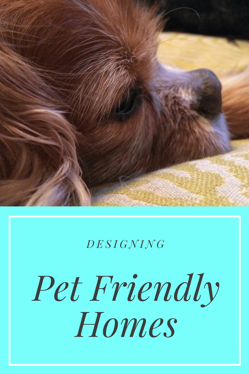 pet-friendly interior design advice