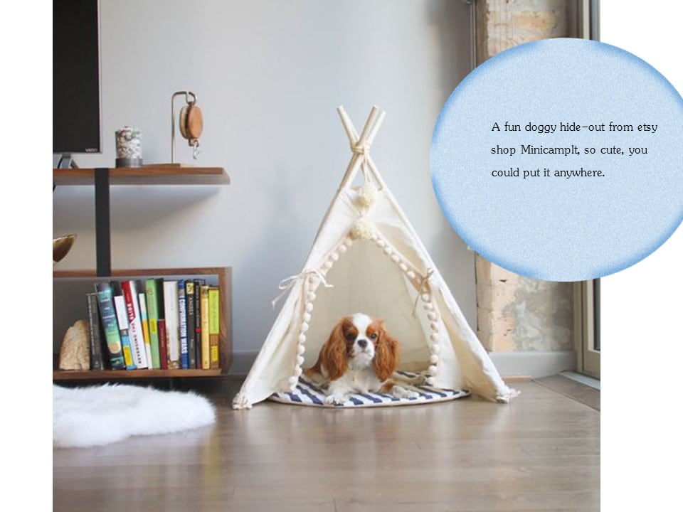 7 ways to integrate pet beds into decordog teepee