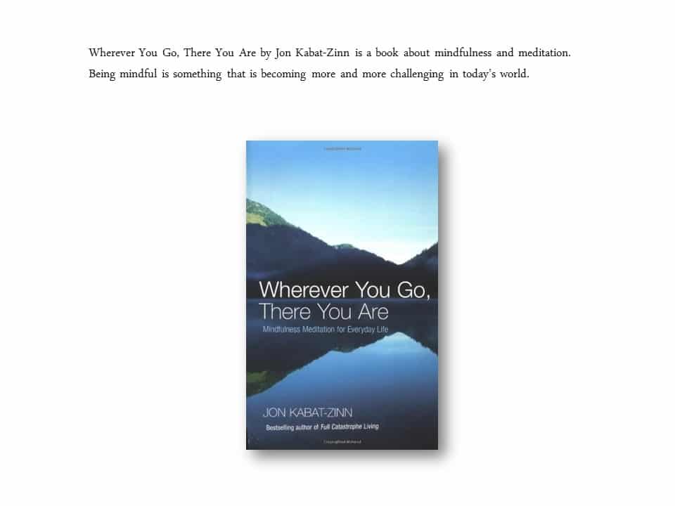 summer reading Wherever you go, there you are Jon Kabat-Zinn