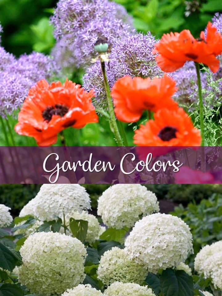 garden inspiration colors