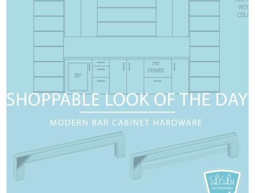 Modern-Bar-Cabinet-Hardware-interior-designer-north-oaks-55127.jpeg