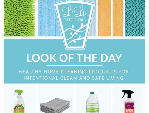 healthy-home-cleaning-products-Minneapolis-interior-designer.jpeg
