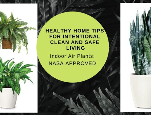Healthy-Home-Tips-for-Intentional-and-Safe-Living-Minneapolis-indoor-plants-Interior-designer-55405.jpeg